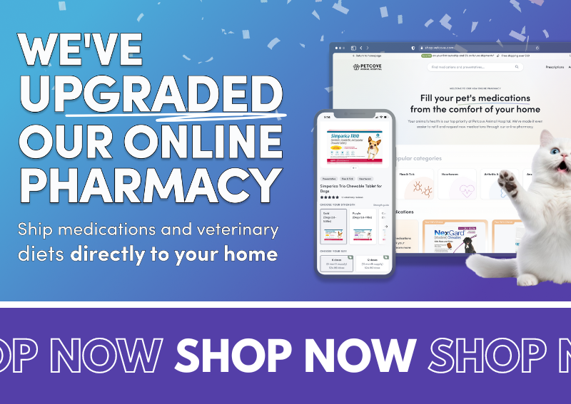 Carousel Slide 1: Shop our Online Pet Pharmacy