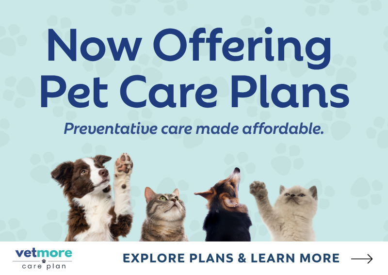 Carousel Slide 1: Preventative care made affordable. Learn more >